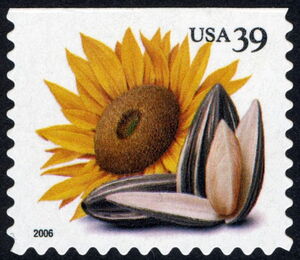 Sunflower (PSA CB)