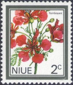 Flamboyant (Delonix regia)