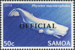 Sperm Whale (Physeter macrocephalus) - Official