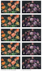 The Language of Flowers