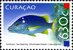 Schoolmaster Snapper (Lutjanus apodus)