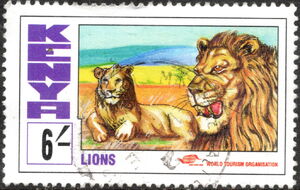 Lions
