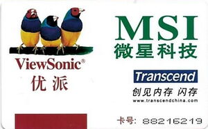 Shanghai Damao Computer