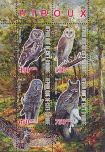 Owls