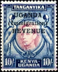 Grey Crowned Crane (Balearica regulorum)