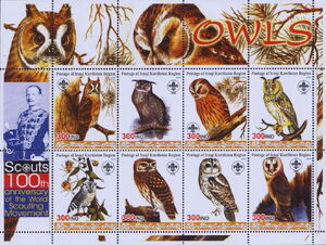 Owls