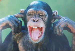 Pocket Calendar: Monkey (Ukraine(Monkeys) Col:UA-2016-Monkey-005.04