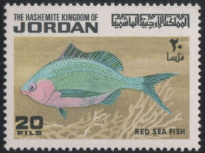 Red Sea Fish (Gerres oyena)