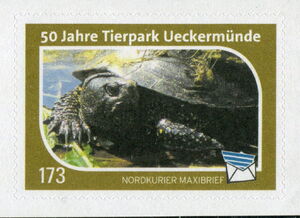 50 Years Zoo Ueckermünde - Turtle
