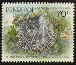 Black Pearl Oyster (Pinctada margaritifera)