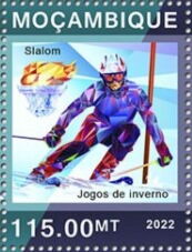Slalom Skiing