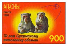 Two Monkeys and the First Satellite