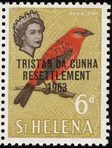 Red Fody (Foudia madagascariensis)