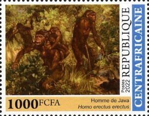 Java Man (Homo erectus erectus)