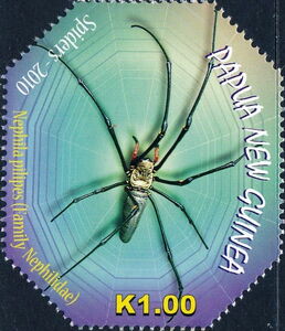 Giant Golden Orb Weaver (Nephila pilipes)