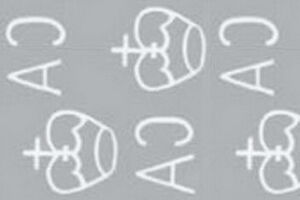 Transport Services for Disabled