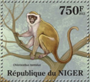 Stamp Tantalus Monkey (Chlorocebus tantalus) (Niger(Fauna of Niger