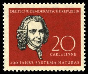 Carl von Linné (1707-1778) Naturalist