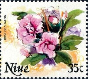 Rose of Sharon (Hibiscus syriacus)