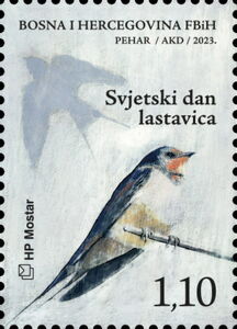 World Migratory Bird Day - Barn Swallow (Hirundo rustica)