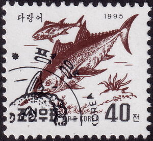 Atlantic Bluefin Tuna (Thunnus thynnus)