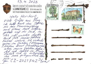 Acorn Elves playing Football (Soccer)