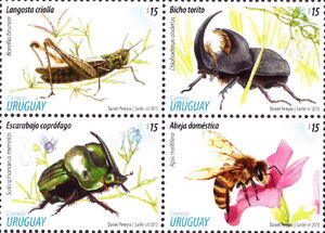 Spring 2013: Insects