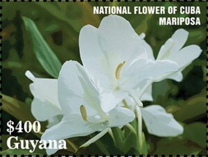 Stamp: National Flower of Cuba - Mariposa (Guyana(50th of Diplomatic Realations with Cuba) Mi:GY ...