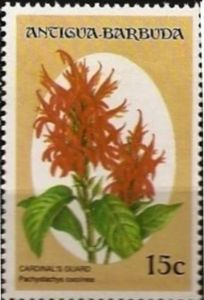 Stamp: Cardinal's Guard (Pachystachys coccinea) (Antigua and Barbuda ...