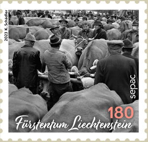 SEPAC : Traditional Markets