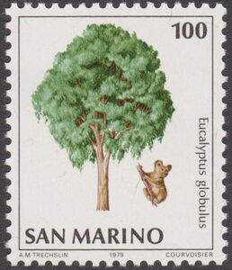 Koala (Phascolarctos cinereus), Tasmanian Bluegum (Eucalyptu