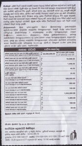 Saturday Fortune (Shanida Wasanawa)