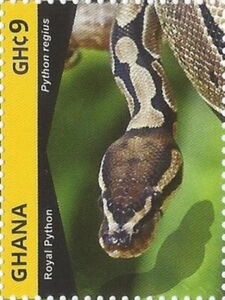 Stamp: Ball Python (Python regius) (Ghana(Snakes) Mi:GH 4517