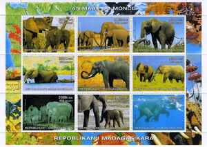 Animals of the World Elephants
