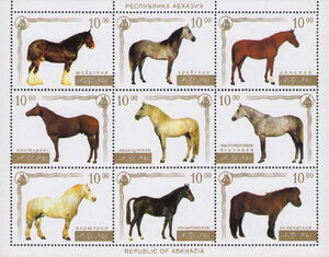 Horses