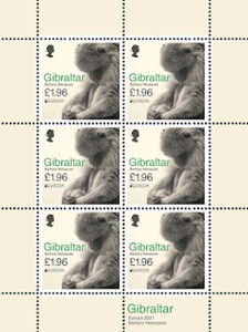 Barbary Macaque (Macaca sylvanus) looking down