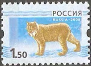 Eurasian Lynx (Lynx lynx)