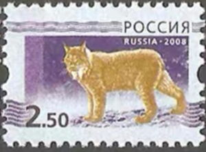 Eurasian Lynx (Lynx lynx)