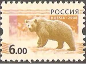 Brown Bear (Ursus arctos)