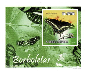 Black Swallowtail (Papilio polyxenes)