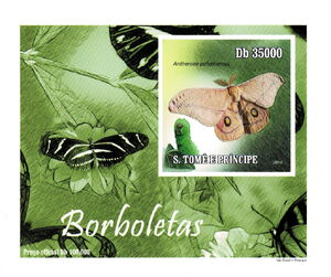 Polyphemus Moth (Antheraea polyphemus)