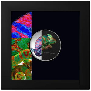 5 Dollars (Eclectic Nature - Chameleon)