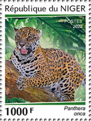 Colnect Item Picture