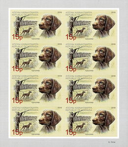 German Shorthaired Pointer