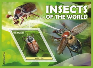 Stamp: Insects of the World (Mozambique: Illegal Stamps(Insects (2017 ...