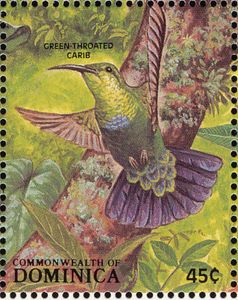 Green-throated Carib (Eulampis holosericeus)