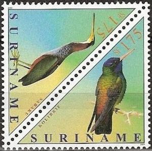 Agami Heron (Agamia agami), White-chinned Sapphire (Hylochar