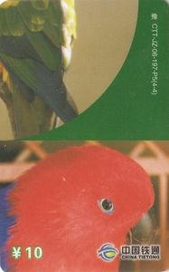 Parrot - Puzzle 4/4