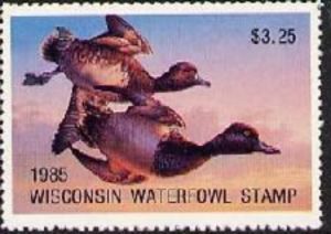 Lesser scaup (Aythya affinis)