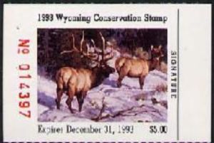 Wapiti (Cervus canadensis)